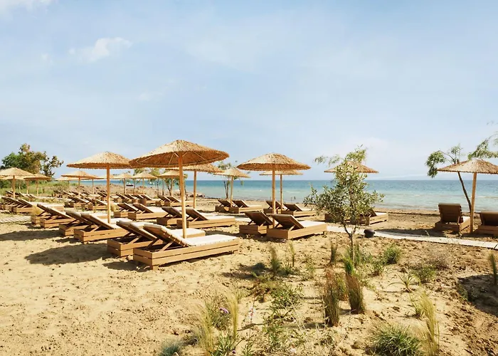 Ayla Corfu Apartahotel Kávos